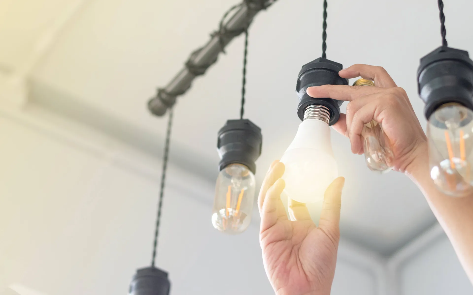 有限会社新和電設